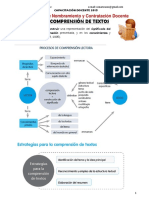 La comprensión de textos: identificar el tema y la idea principal