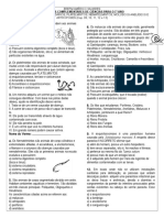 Animais do Reino Animal: Poríferos, Cnidários, Platelmintos, Nematelmintos, Moluscos, Anelídeos e Artrópodes