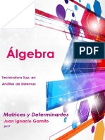 Apunte Matrices y Determinantes