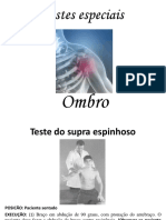 Roteiro de Testes Especiais