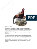 Trabajo Sobre La Gallina