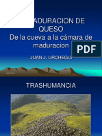 Juan Jesús Urchegui - La Maduración de Queso1478788221987 PDF