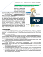 Anatomia Topográfica - Abdome