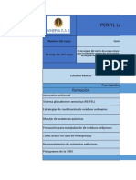 perfil laboral.xlsx