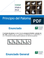 Principio Del Palomar