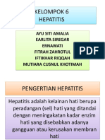 Kelompok 6 Hepatitis