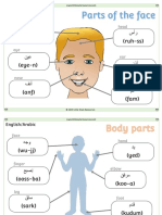 Face and Body Parts (Arabic)