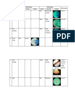Tabel Pengamatan Praktikum Morfologi Jamur