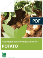 Potato (1).pdf
