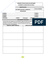 Informe - Lineas de Campo Electrico y Magnetico PDF