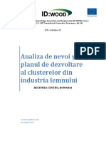 ANALIZA DE NEVOI SI PLANUL DE DEZVOLTARE AL CLUSTERELOR DIN INDUSTRIA LEMNULUI - H4f3ty PDF