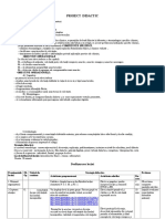 915-Proiect Didactic Amestecuri