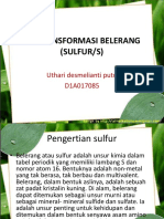 Biotransformasi Belerang (Sulfur)