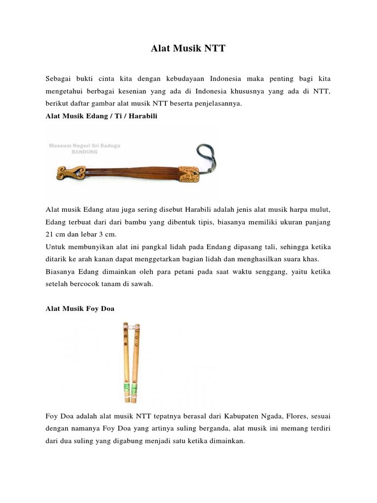 Alat Musik NTT | PDF