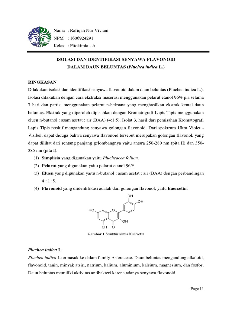 Isolasi Dan Identifikasi Senyawa Flavonoid Dalam Daun Beluntas Vivi PDF