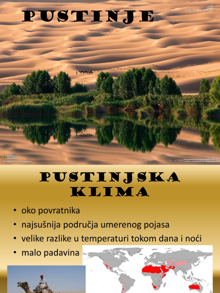 Pustinja Prezentacija | PDF