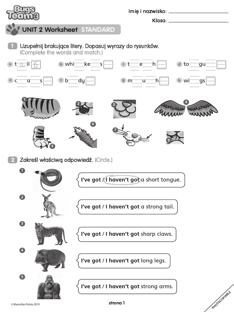 Bugs Team 3 Unit 3 Test BugsTeam3 Unit 2 PB Worksheet Standard