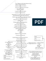 pathway abortus n anemia.docx