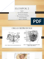 KELOMPOK 2 Histologi