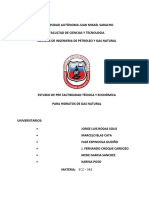 Estudio de Pre Factibilidad Técnica y Económica para Hidratos de Gas Natural