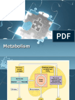 Metabolism