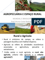 Agropecuária e Espaço Rural