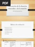 Valoración de la función muscular y de la marcha. 