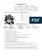 evaluacion corazon 5  (1).doc