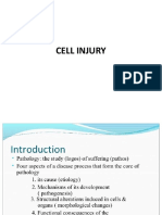 Cell Injury