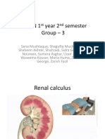 Renal Calculi