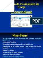 8 Presentacion Glandulas Endocrinas 230407