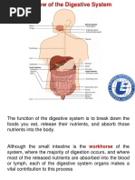 Overview of The Digestive System