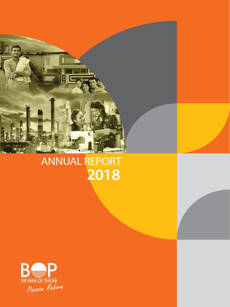 Bank of Punjab 2018 Report | PDF | Risk Management | Fiscal Policy
