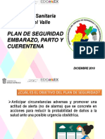 Plan de Seguridad J. Tenango Del Valle