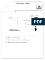 Avaliação de Ciências– Árvore Filogenética