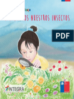Insectos para Infantes PDF