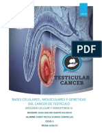 Cancer Testicular Informe