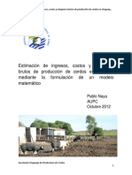 2012 1028 Naya Ingresos Costos y Mrgenes Brutos PDF