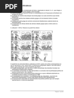 Questões de revisão - História - Ensino Médio.docx