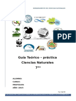 Guía de Ciencias Naturales 7mo