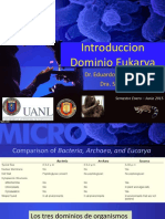 2 INTRODUCCION DOMINIO EUKARYA ENERO JUNIO 2015    1-1.pdf