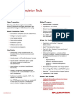 Completion Tools Fact Sheet PDF