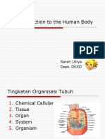 INTRODUCTION hUMAN BODY