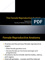 The Female Reproductive System - Faal 2017
