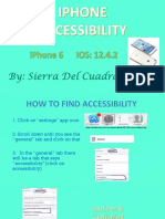 Accessibility Assignment-Sierra