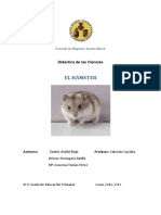 El Hamster