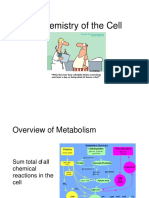 Chemical Processes Prior To Metabolism