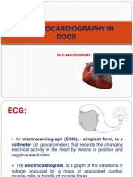 Ecg in Dogs