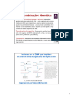 Recombinación-homóloga.pdf