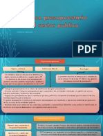 Proceso Presupuestario Del Sector Publico